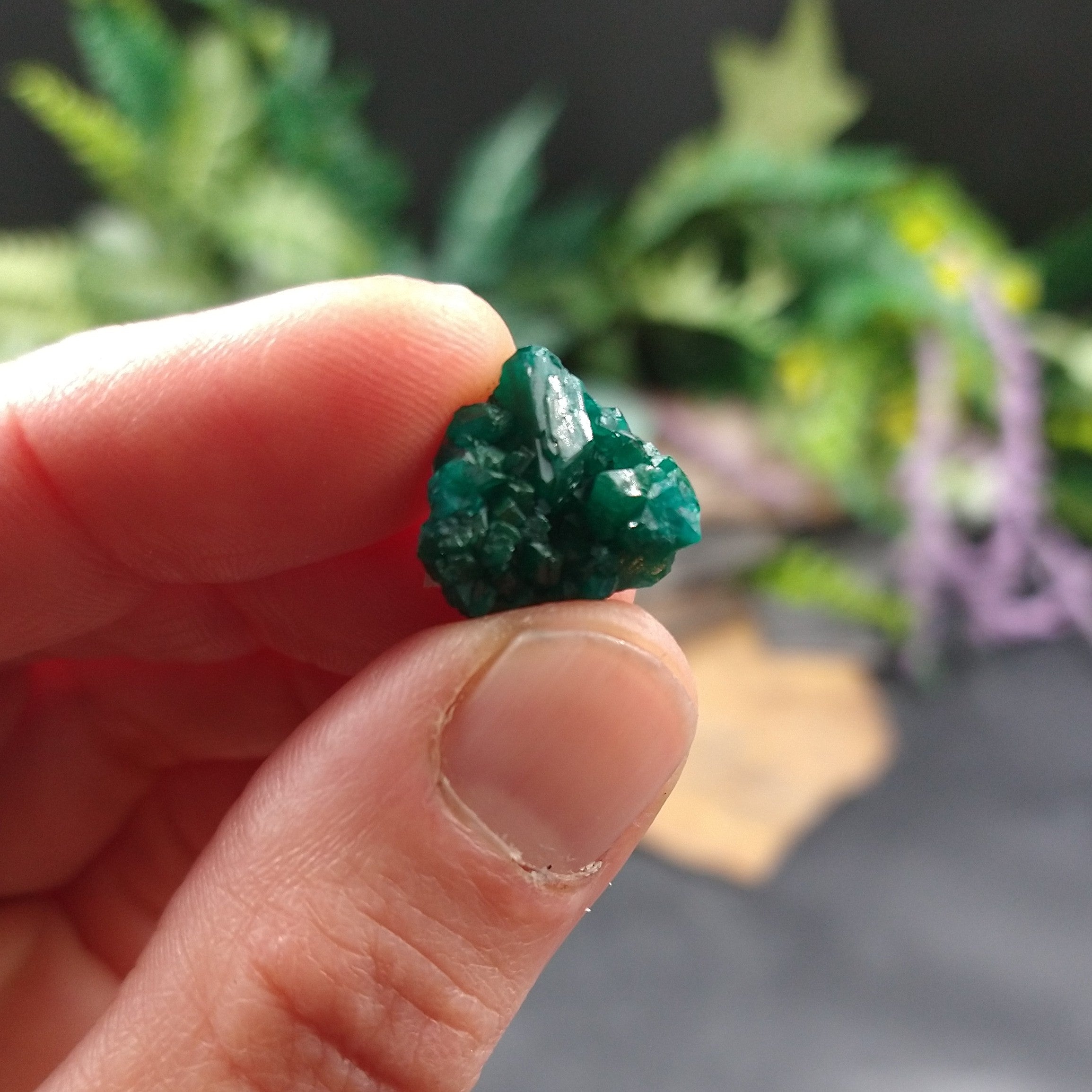 DIO-88 Dioptase specimen