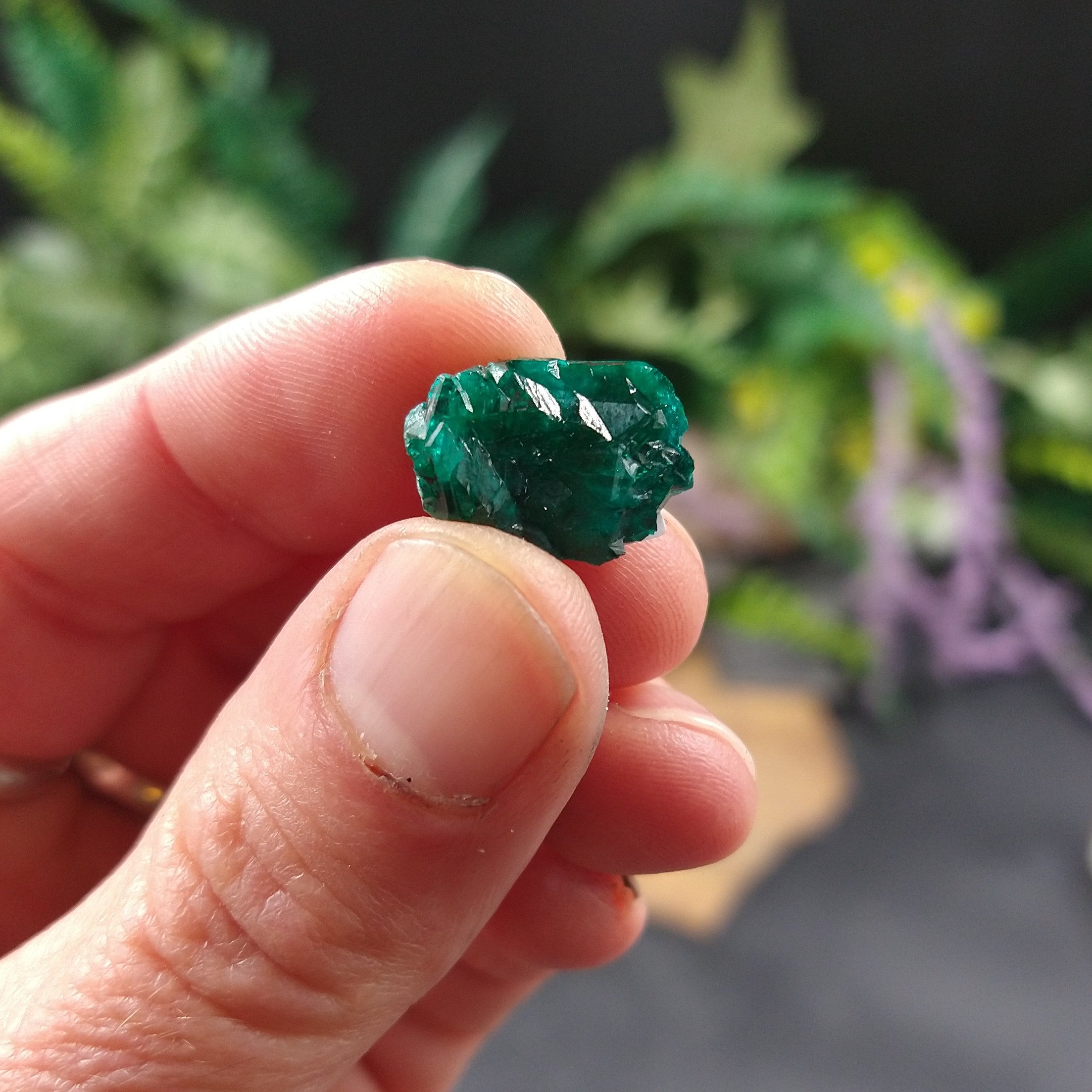 DIO-89 Dioptase specimen