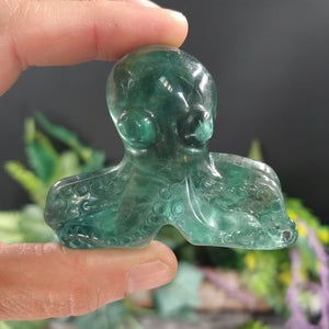 FL-364 Fluorite Octopus