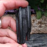 FS-263 Horse Tooth from the Ice Age