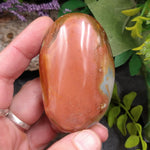 JSP-87 Polychrome Jasper