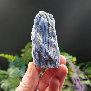 #KY-261 Blue Kyanite