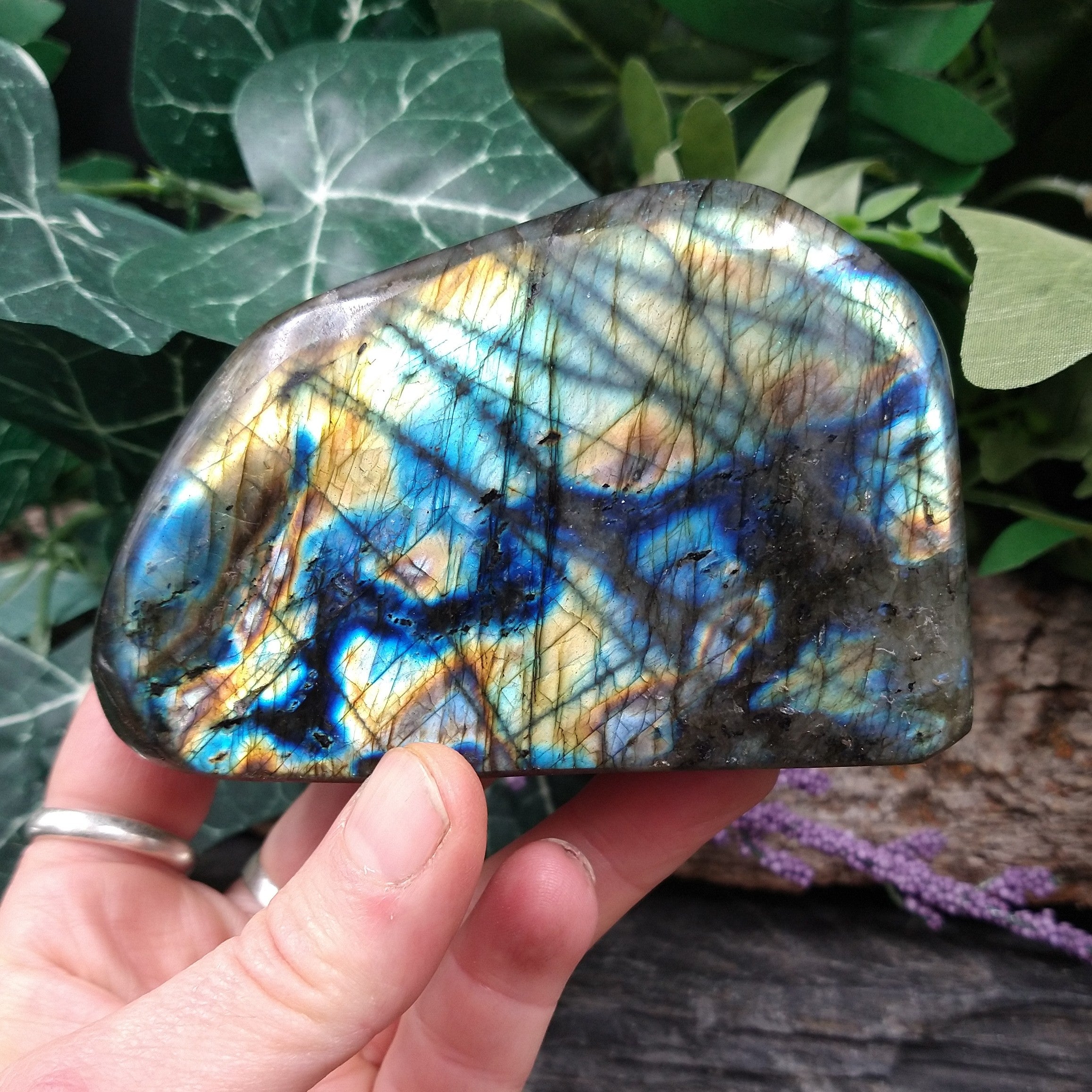 LAB-2419 Polished Labradorite