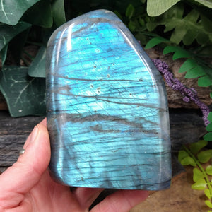 LAB-2441 Labradorite