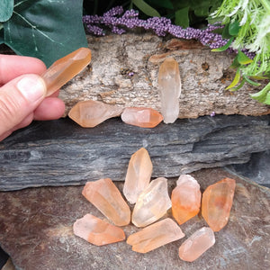 LM-1098 Small Tangerine Lemurian Seed Crystals 2pk