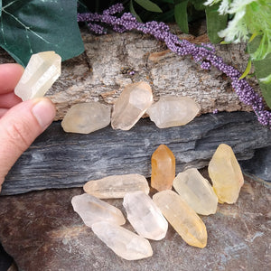 LM-1100 Small Golden Lemurian Seed Crystals 2pk