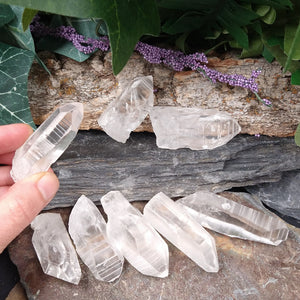 LM-1103 Lemurian Seed Crystals 2-pack