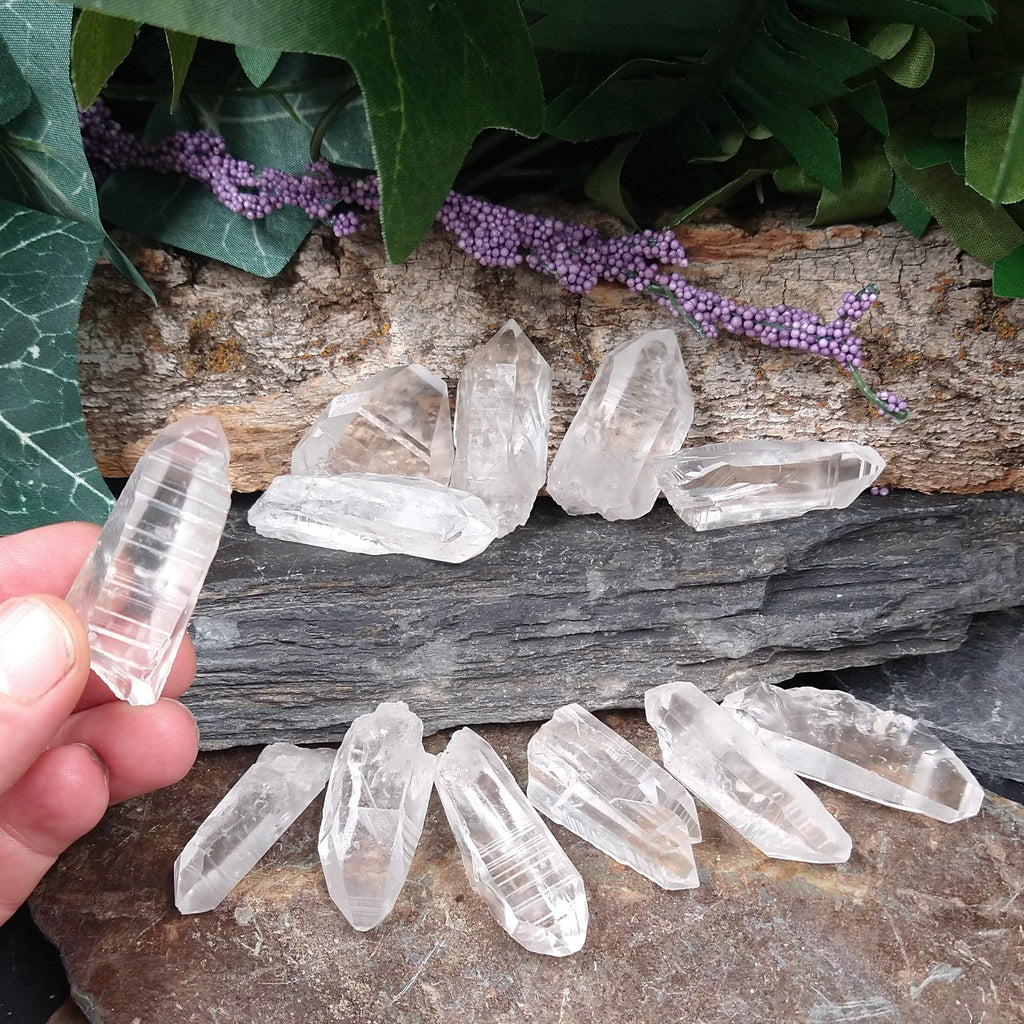 LM-1105 Small Lemurian Seed Crystals 2-pack