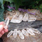 LM-1105 Small Lemurian Seed Crystals 2-pack