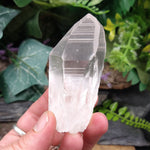 LM-1116 Lemurian Seed Crystal