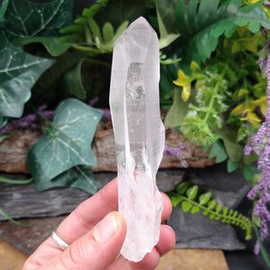 LM-1117 Lemurian Seed Crystal