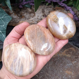 MS-44D Moonstone Palm Stone