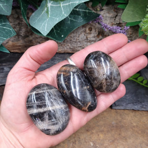 MS-49A Black Moonstone Palm Stone