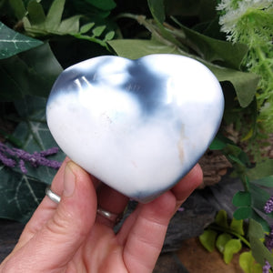 OAG-5 Orca Agate Heart