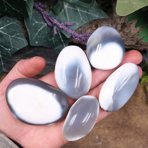 OAG-9A Orca Agate Palm Stone