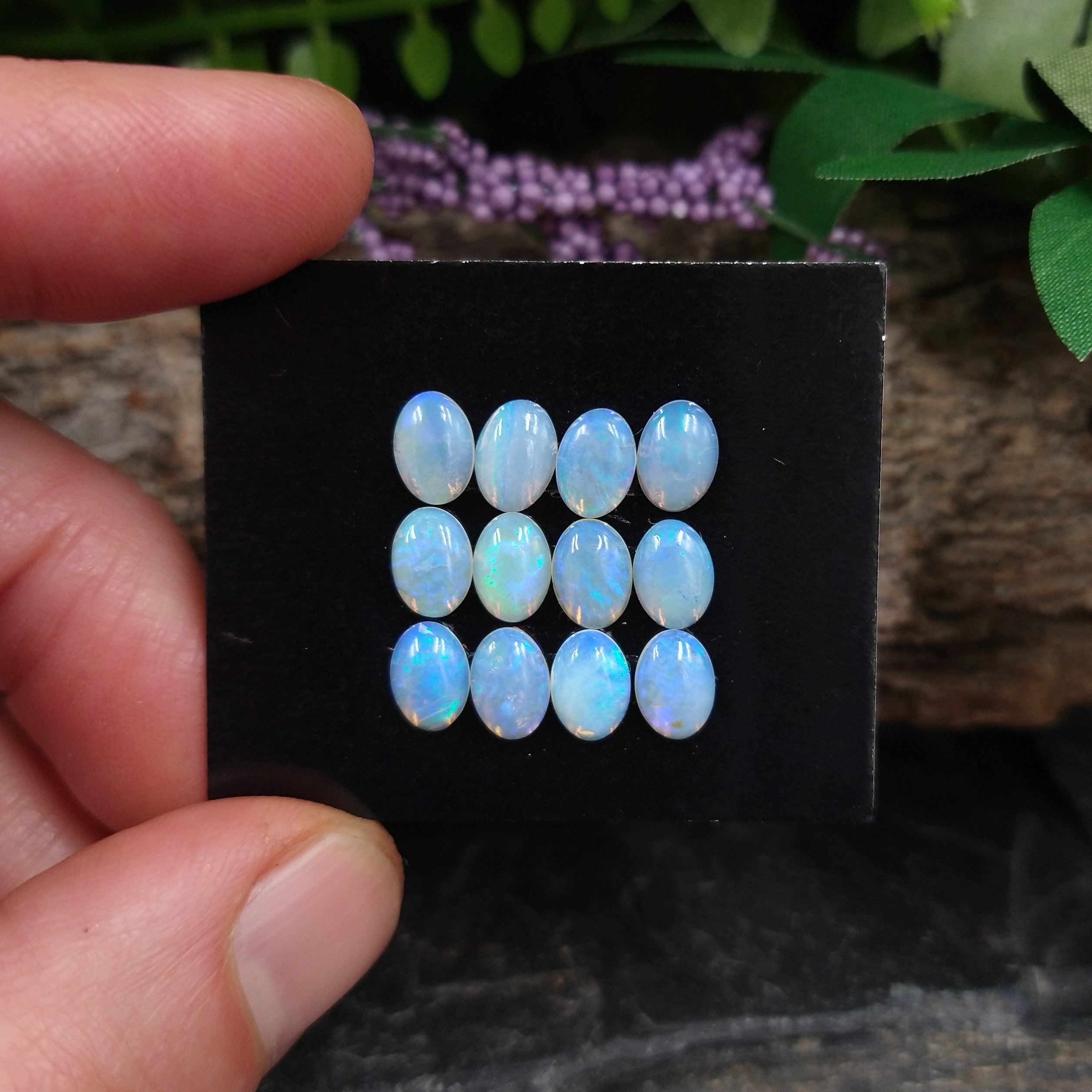 OP-462 Australian Opal Cabochon 2pcs