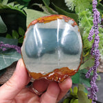 PJSP-8004 Polychrome Jasper