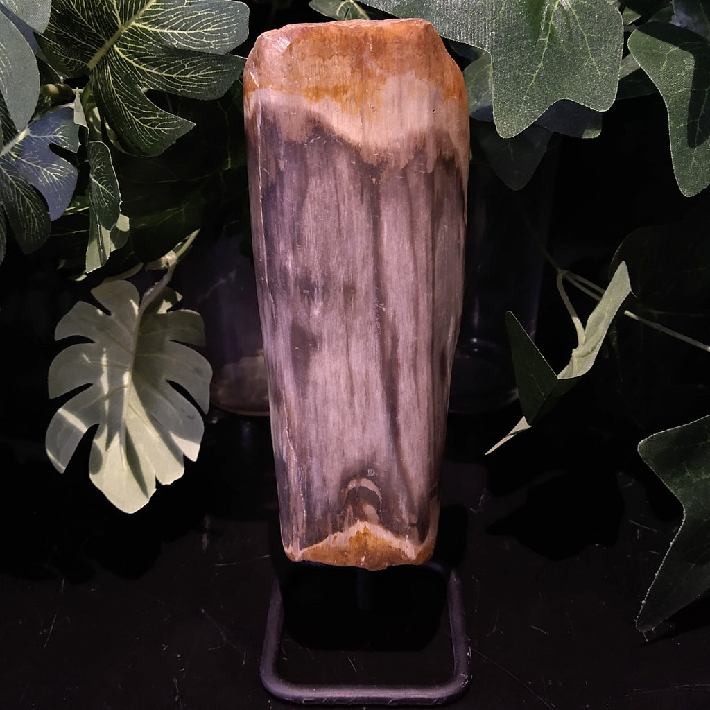 PW-144 Petrified Wood