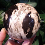 PW-146 Petrified Wood Sphere