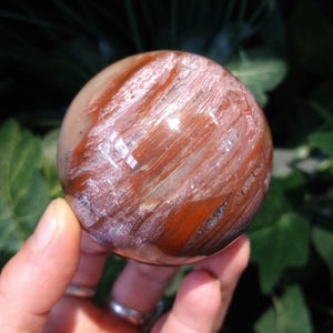 PW-147 Petrified Wood Sphere