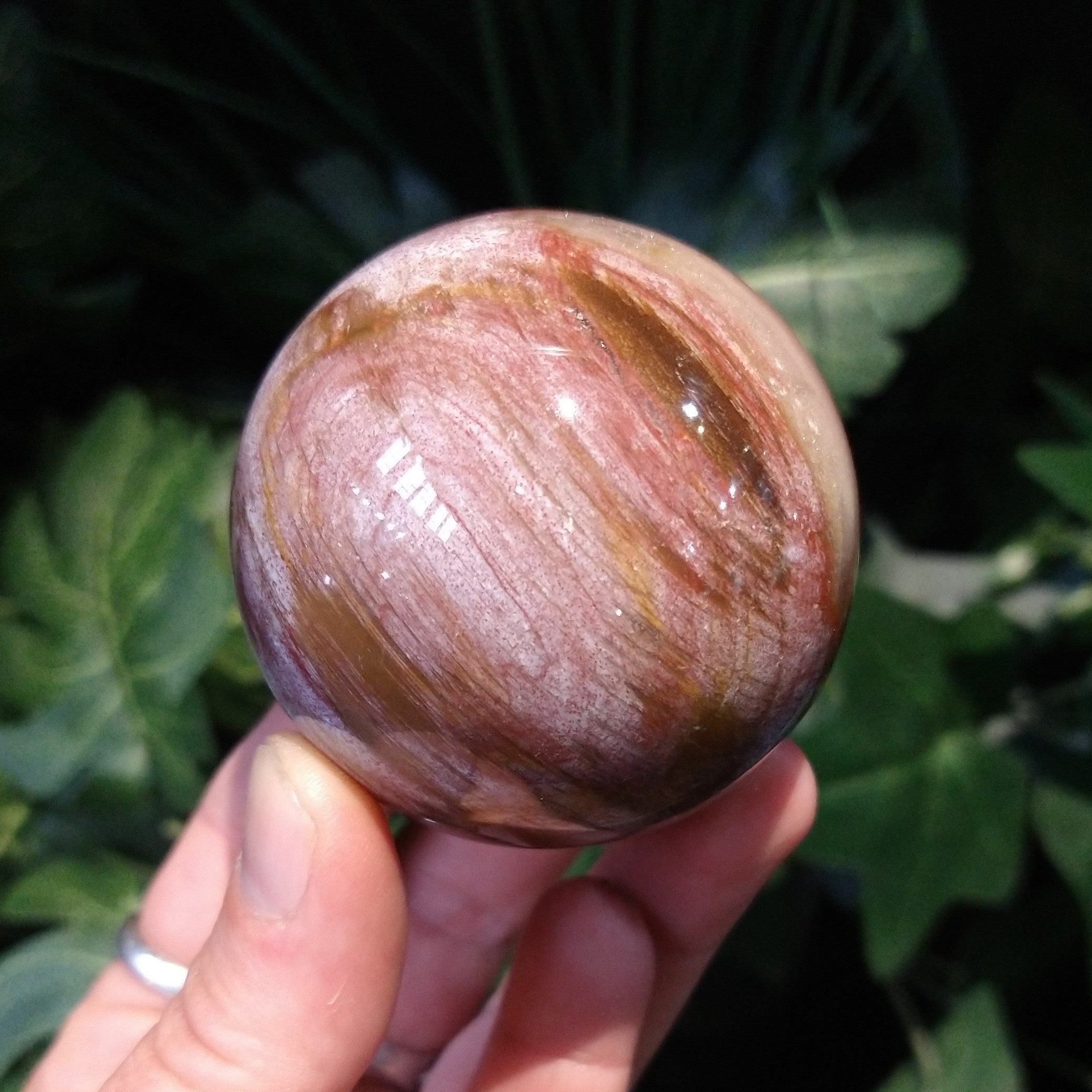 PW-148 Petrified Wood Sphere