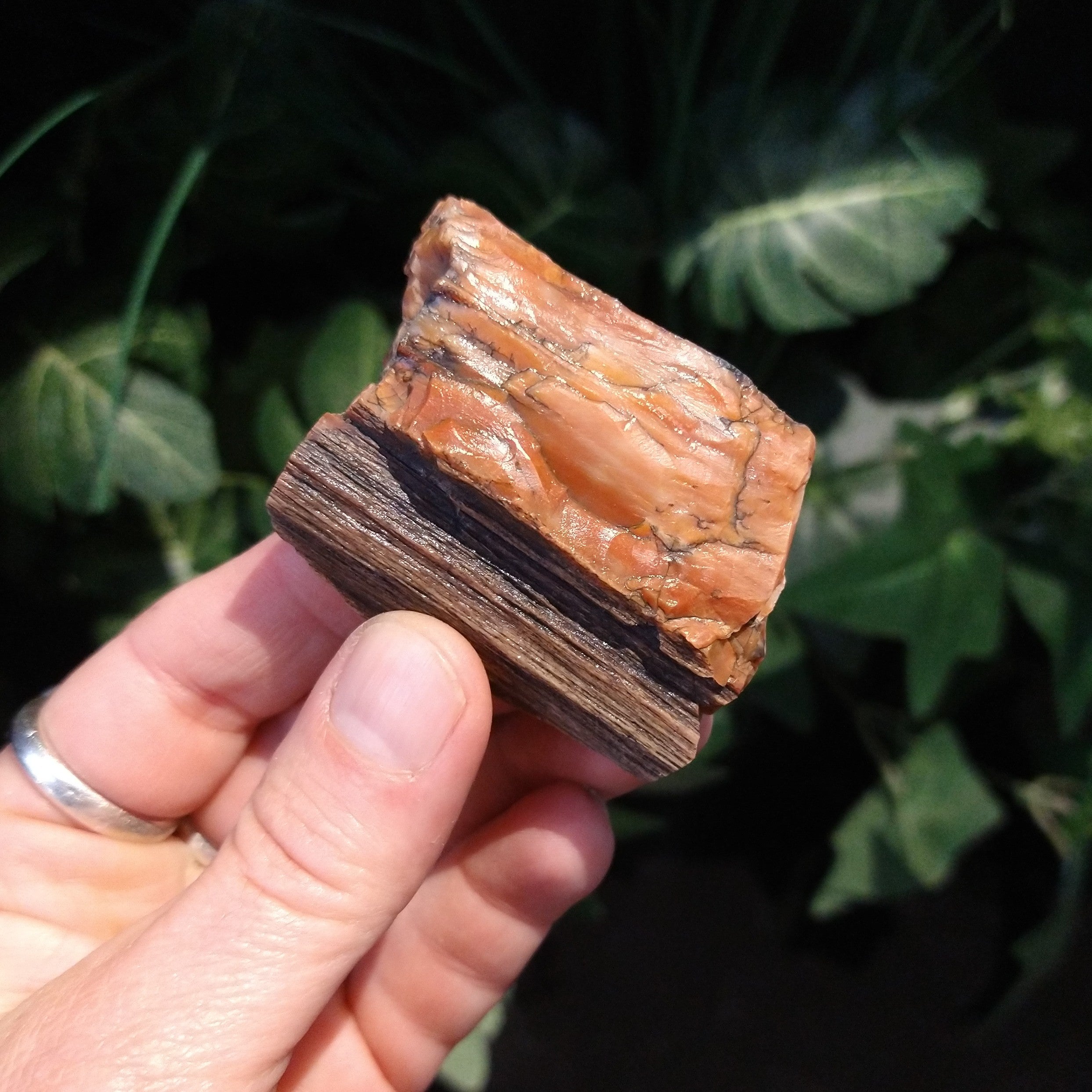 PW-153 Petrified Wood