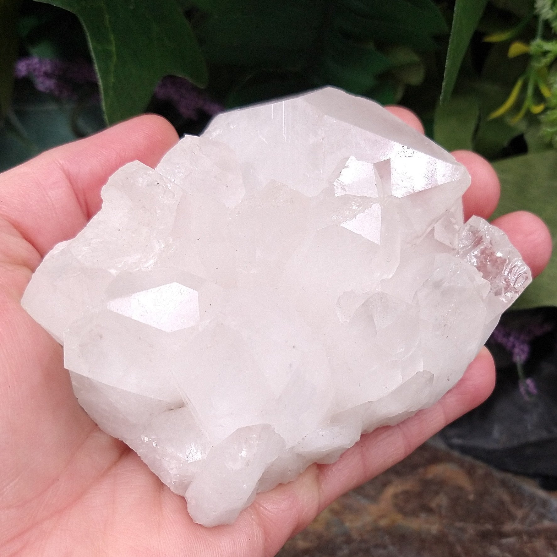 Q-5266 Quartz Crystal Cluster