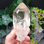 QC-5332 Lemurian Seed Crystal