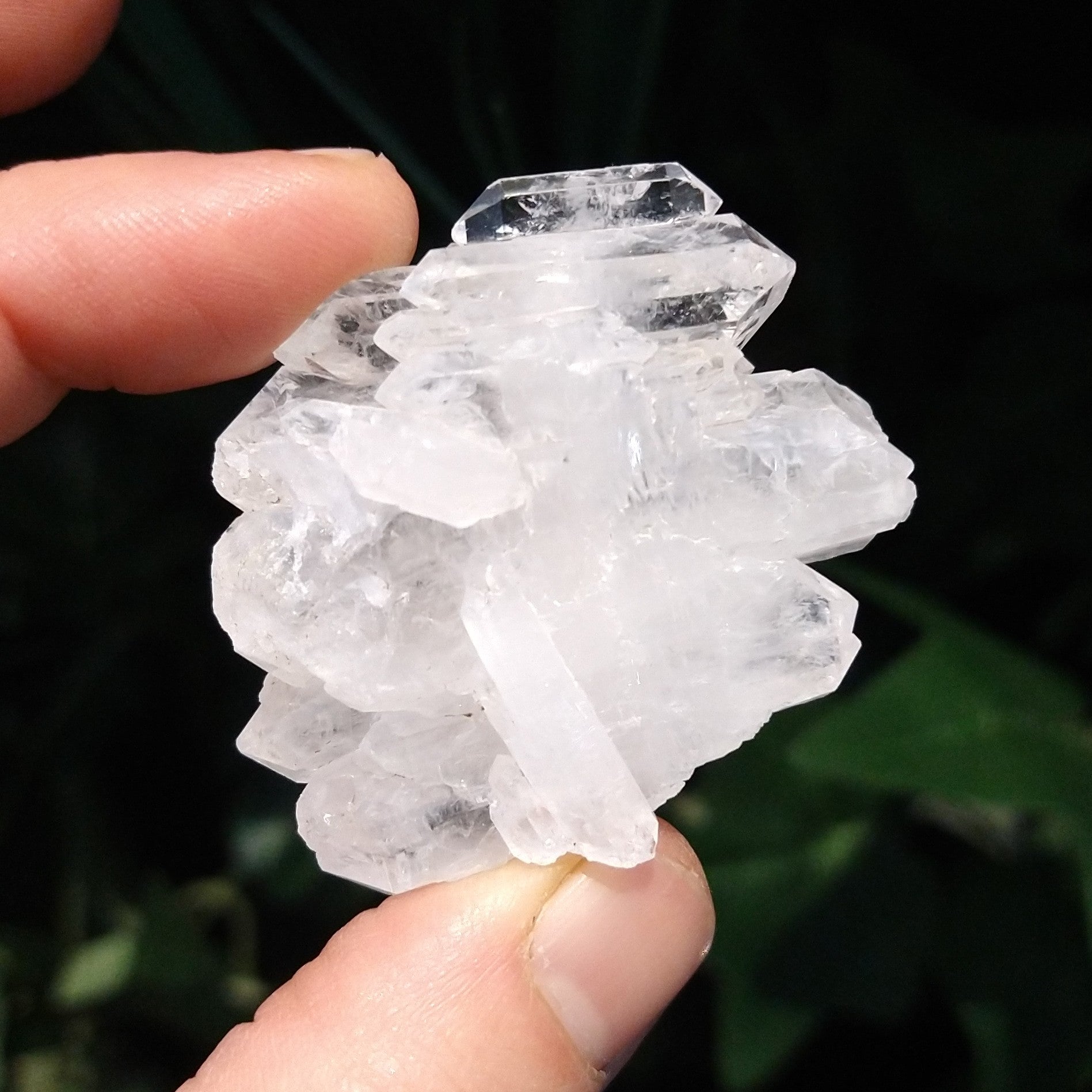 Q-5337 Faden Quartz