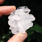 Q-5337 Faden Quartz