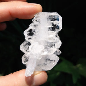 Q-5338 Faden Quartz