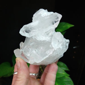 Q-5346 Quartz Cluster