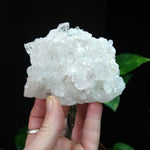 Q-5347 Quartz Cluster