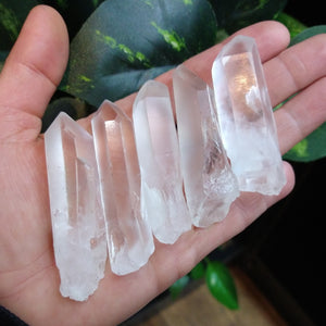 Q-5356 Quartz Crystal