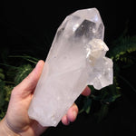 QC-1401 Quartz Crystal