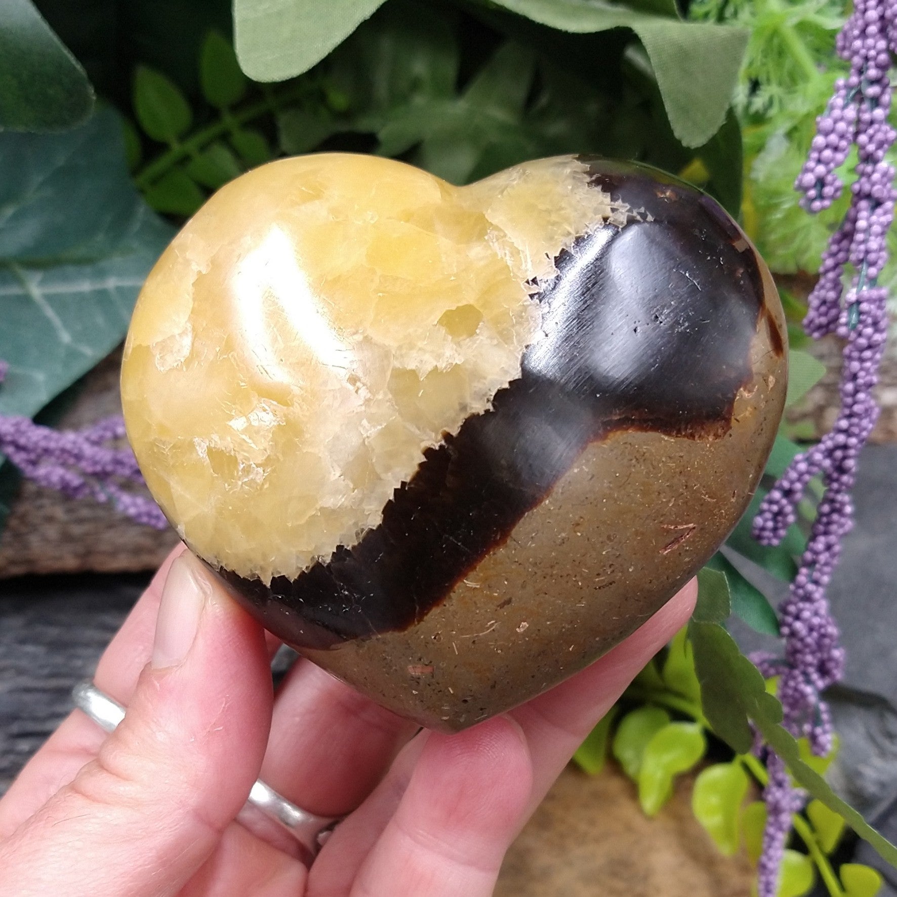 SEP-50 Septarian Nodule Heart