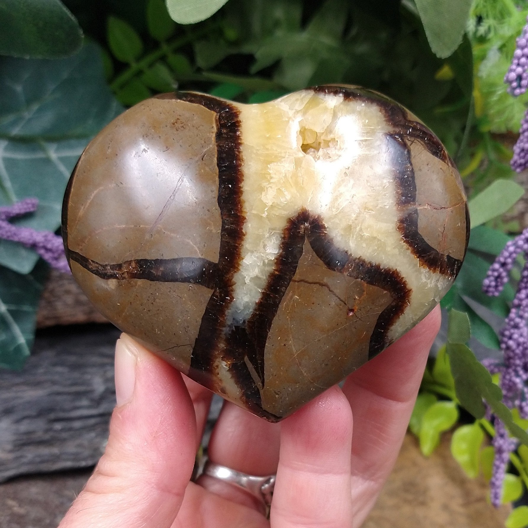 SEP-51 Septarian Nodule Heart