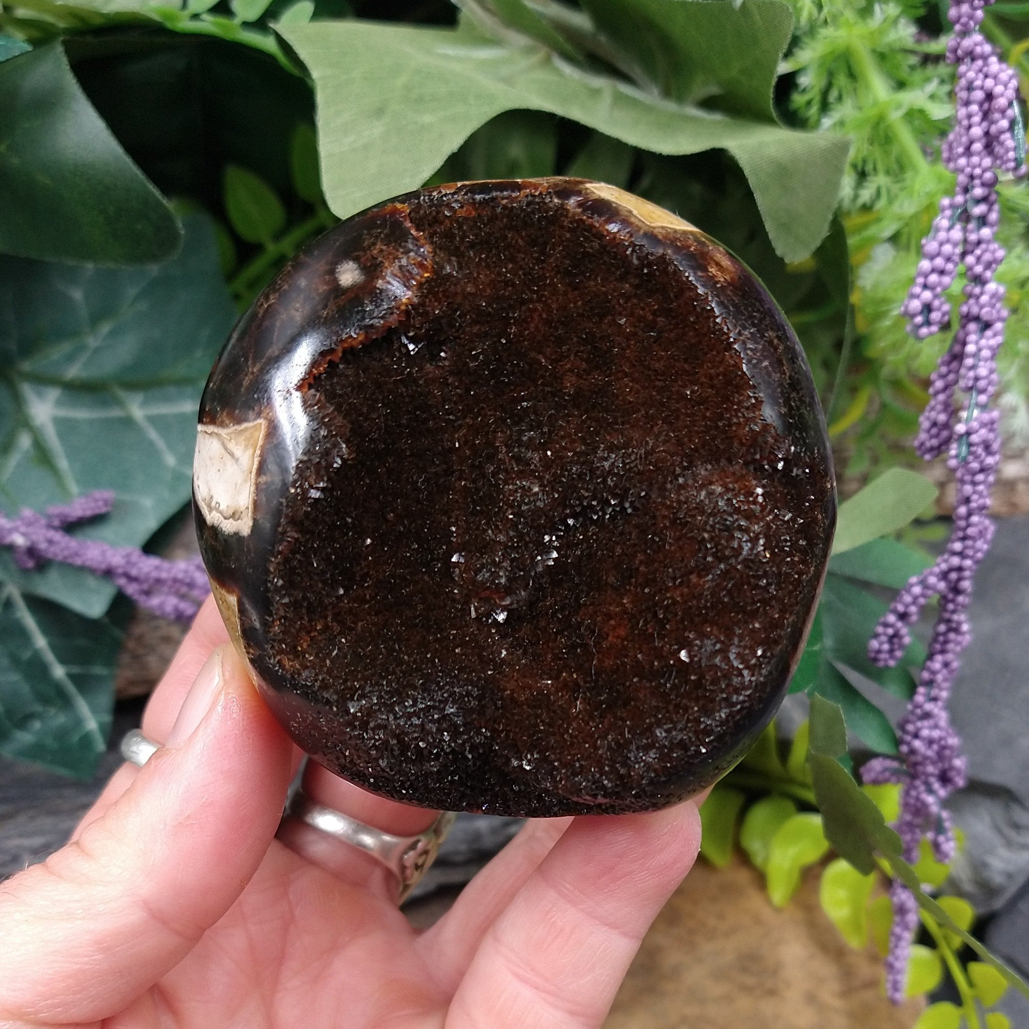 SEP-54 Dragon Septarian Nodule