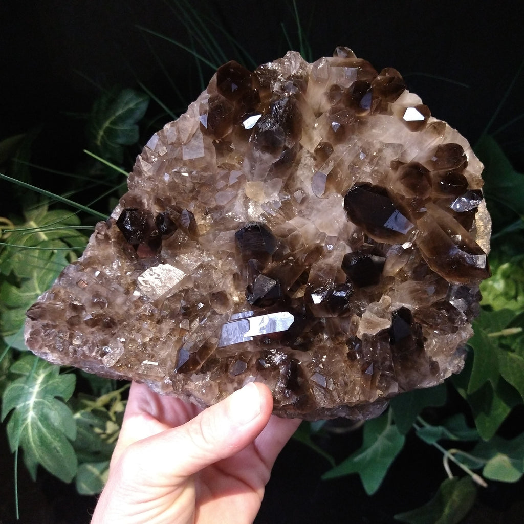 SQ-3101 Smoky Quartz Cluster