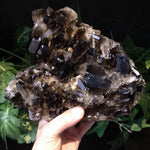 SQ-6201 Smoky Quartz Cluster