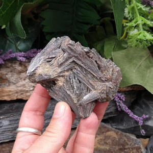 SS-7 Black Kyanite specimen