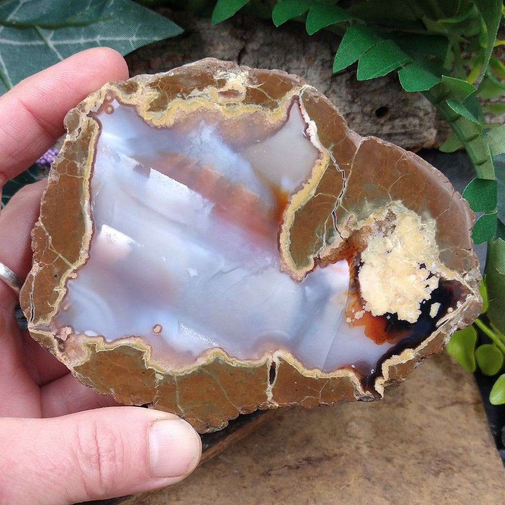 TDR-2 Thunderegg