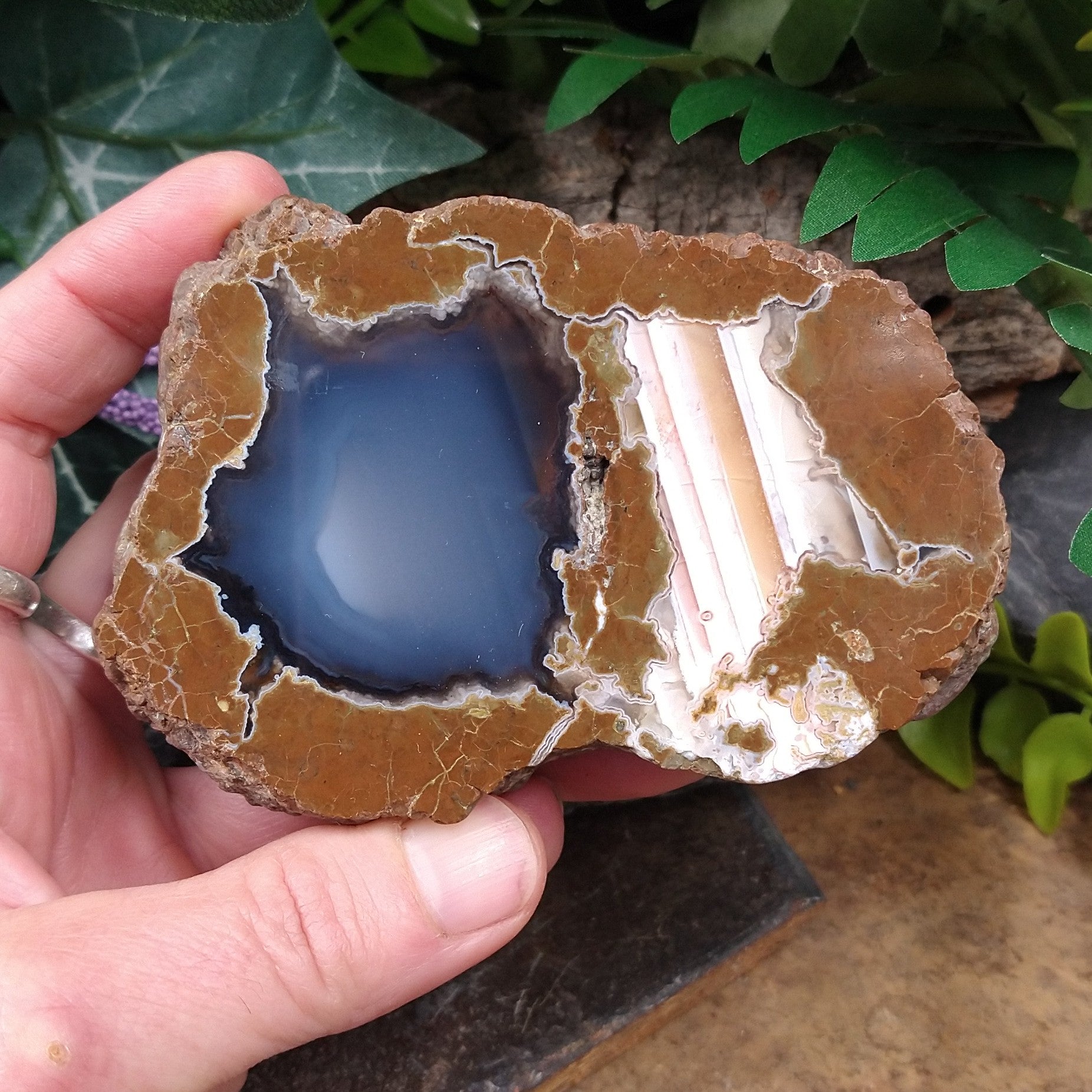 TDR-3 Thunderegg