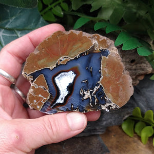 TDR-6 Thunderegg