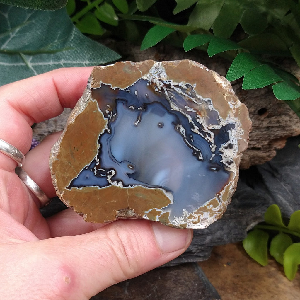 TDR-8 Thunderegg