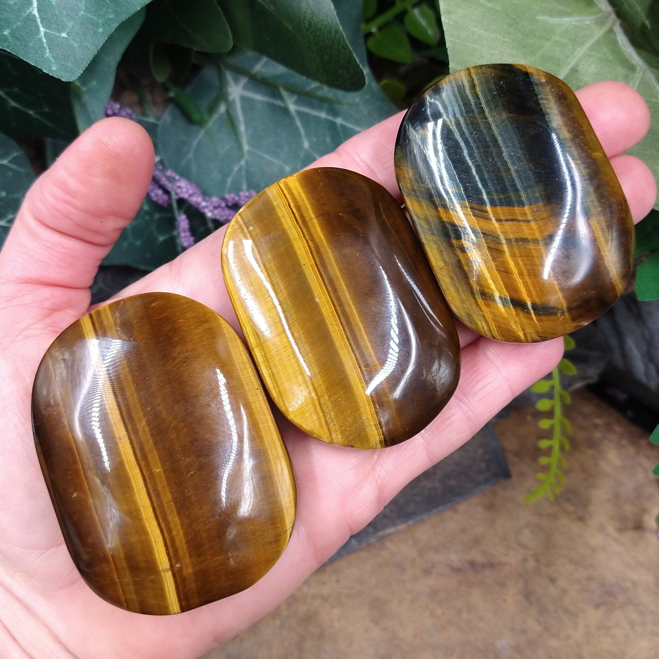 TE-58B Tiger Eye Palm Stone