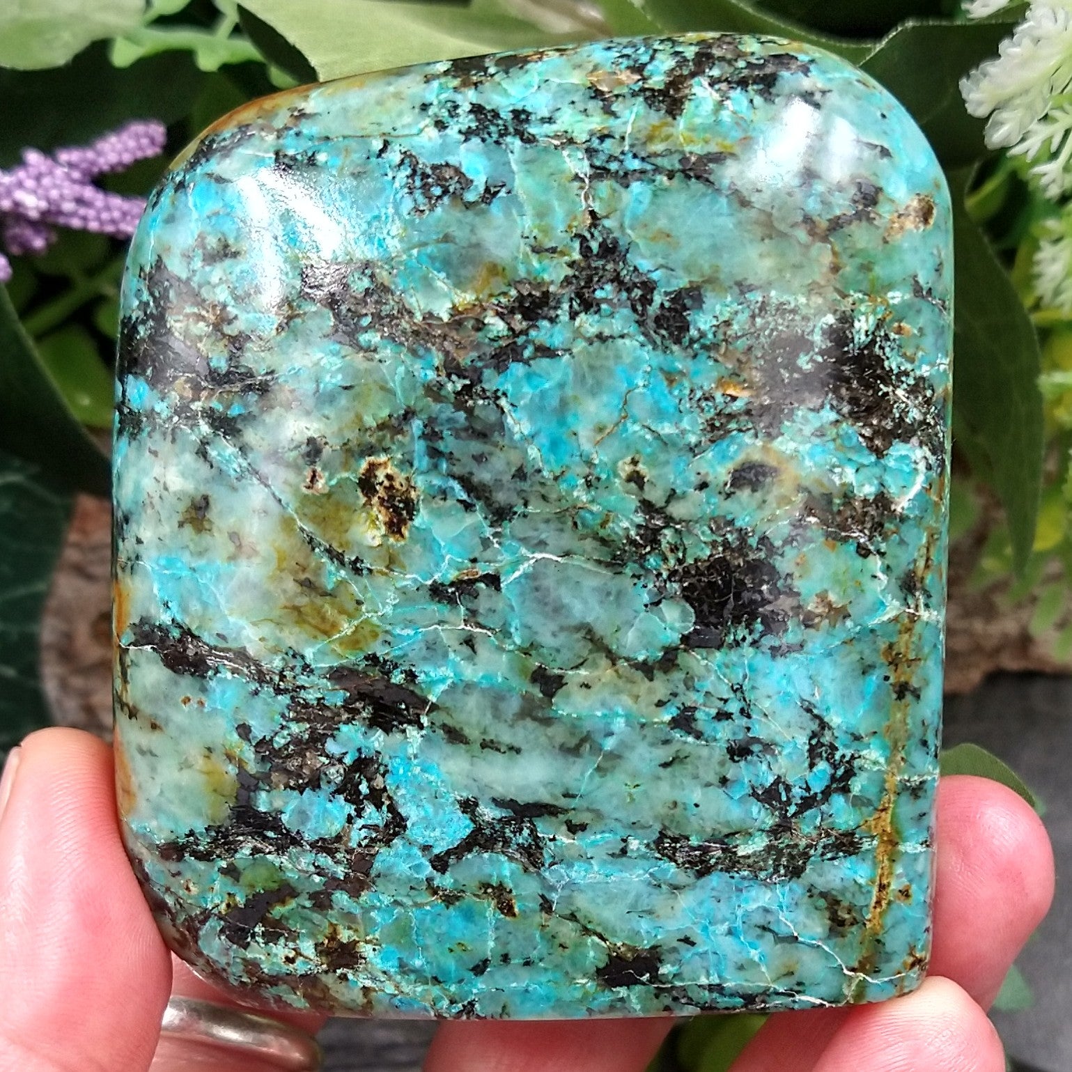 TQ-43 African Turquoise