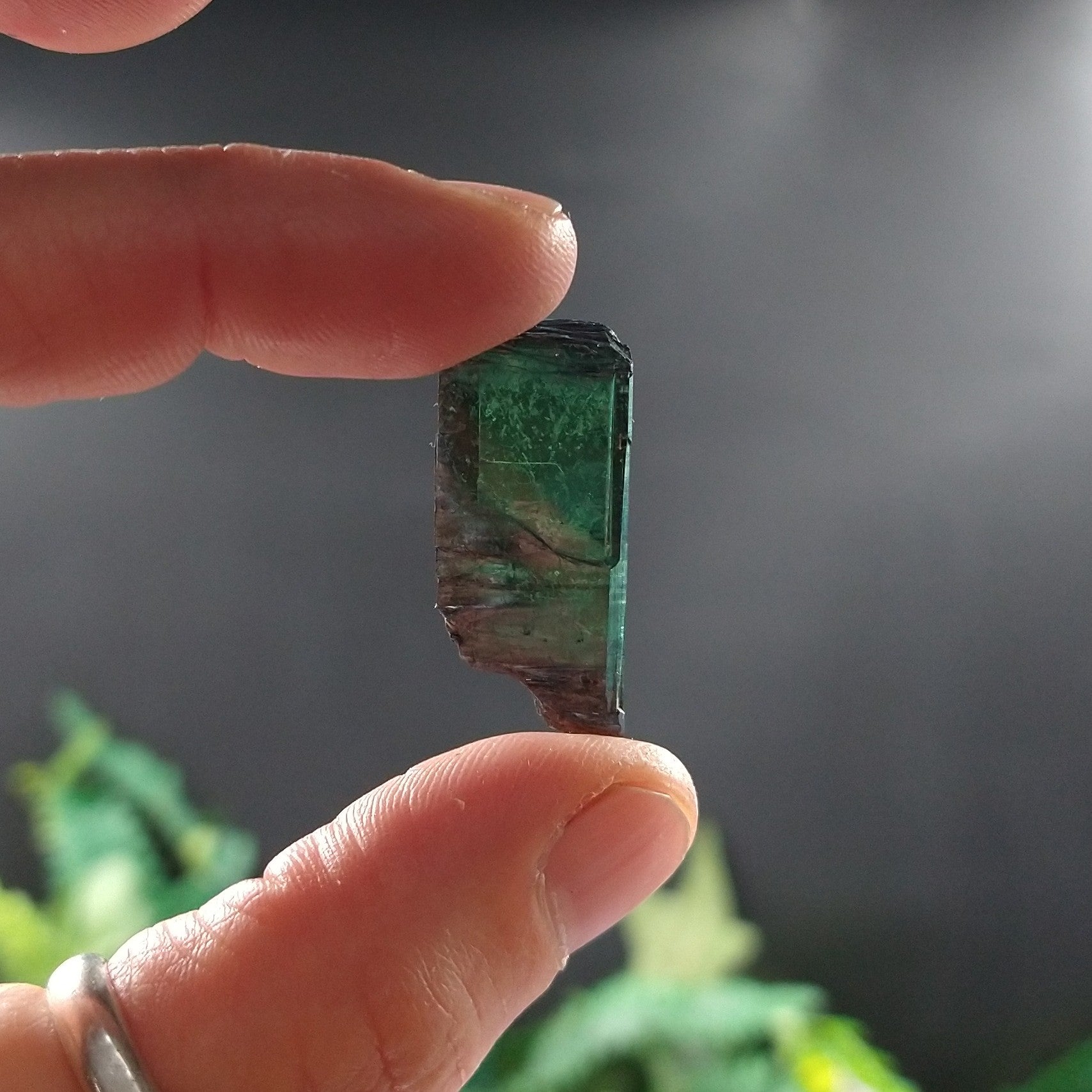 VIV-10 Vivianite Specimen