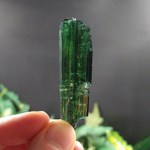 VIV-7 Vivianite Specimen