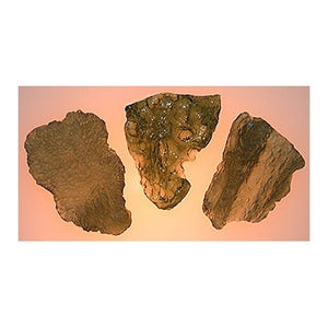 Moldavite specimen 1.0 - 1.3 gr